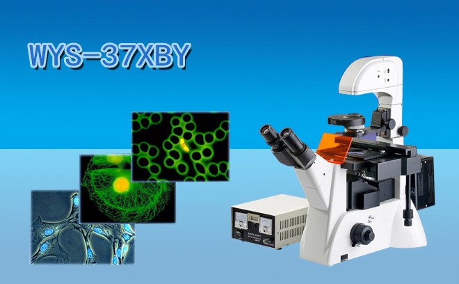 倒置荧光显微镜的原理