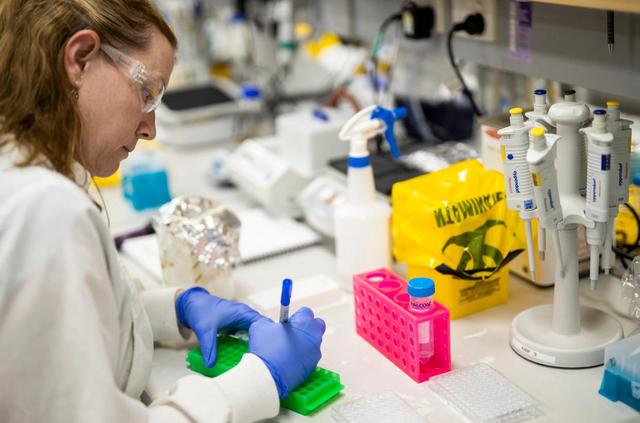 等离子体视显微镜载玻片“揭示”了癌细胞的颜色