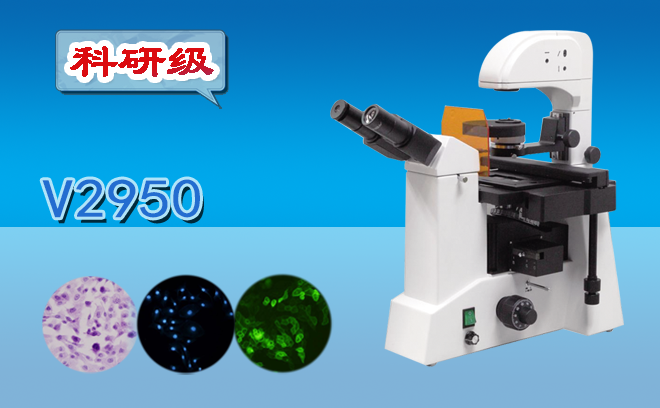 荧光显微镜和普通显微镜的区别