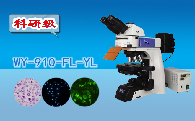 1671081533186168.png 荧光显微镜.png